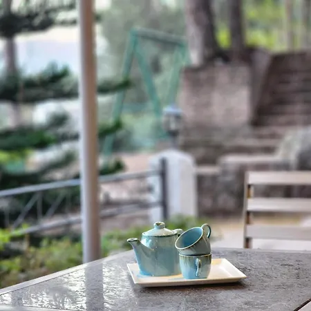 Pine Valley Resort Kasauli Exterior photo