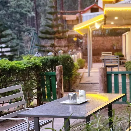 Pine Valley Resort Kasauli Exterior photo