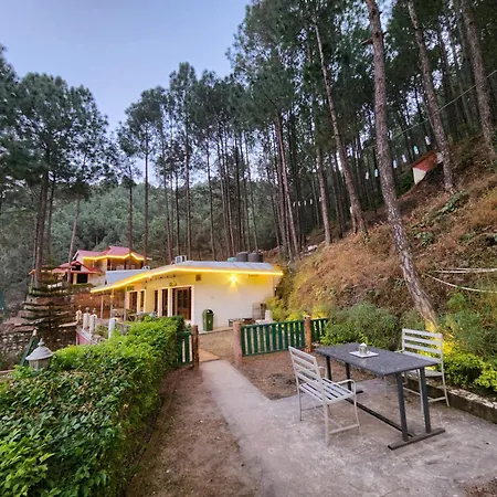 Pine Valley Resort Kasauli Exterior photo
