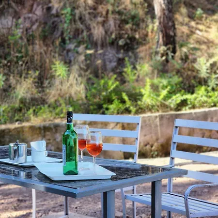 Pine Valley Resort Kasauli Exterior photo