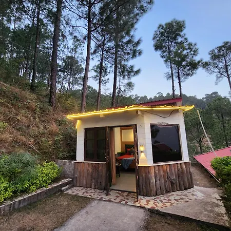 Pine Valley Resort Kasauli Exterior photo