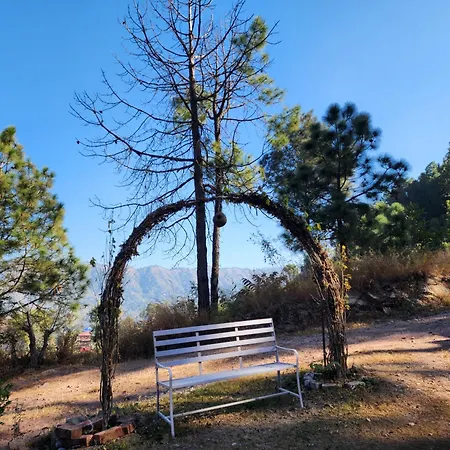 Pine Valley Resort Kasauli Exterior photo