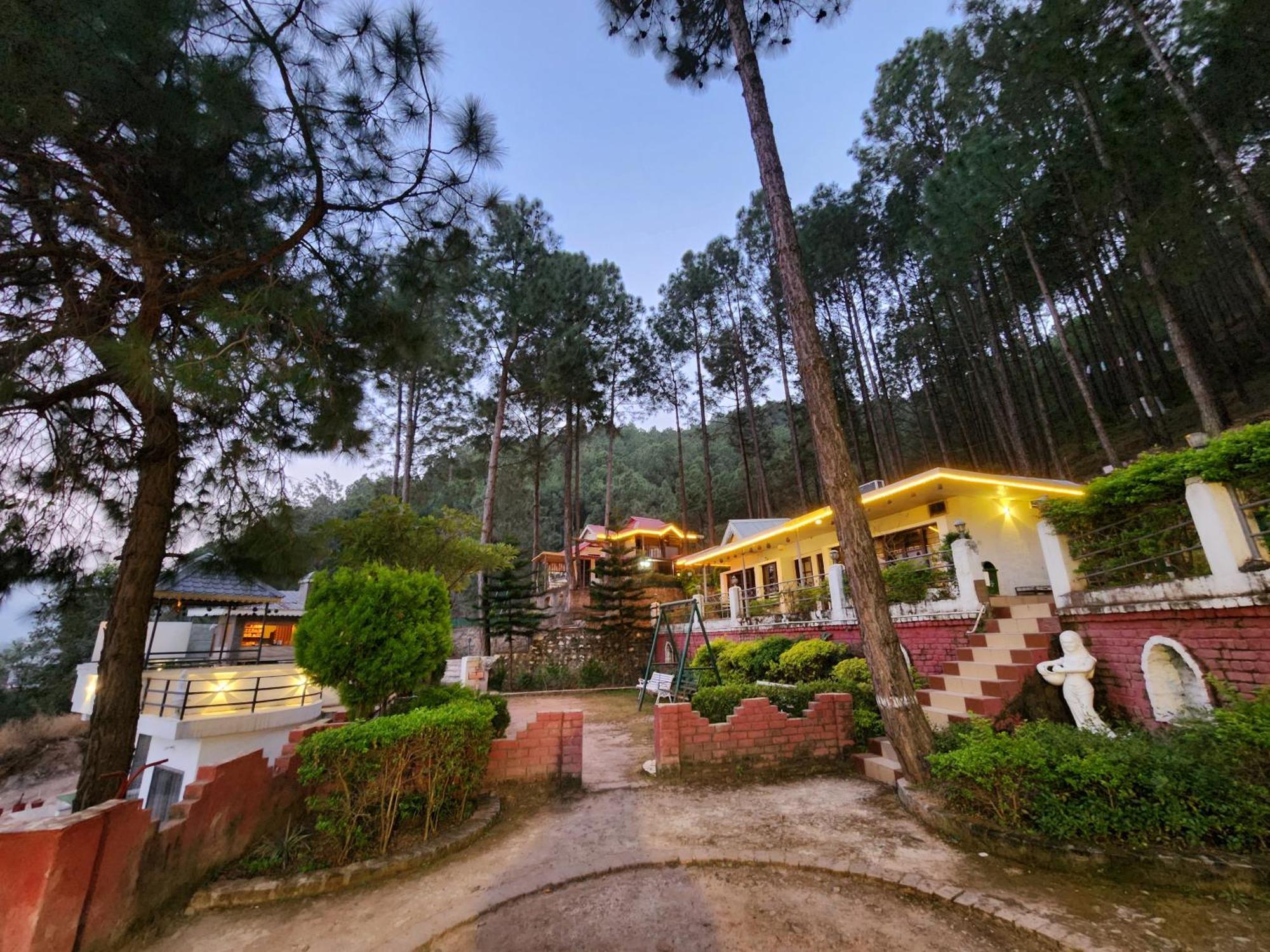 Pine Valley Kasauli