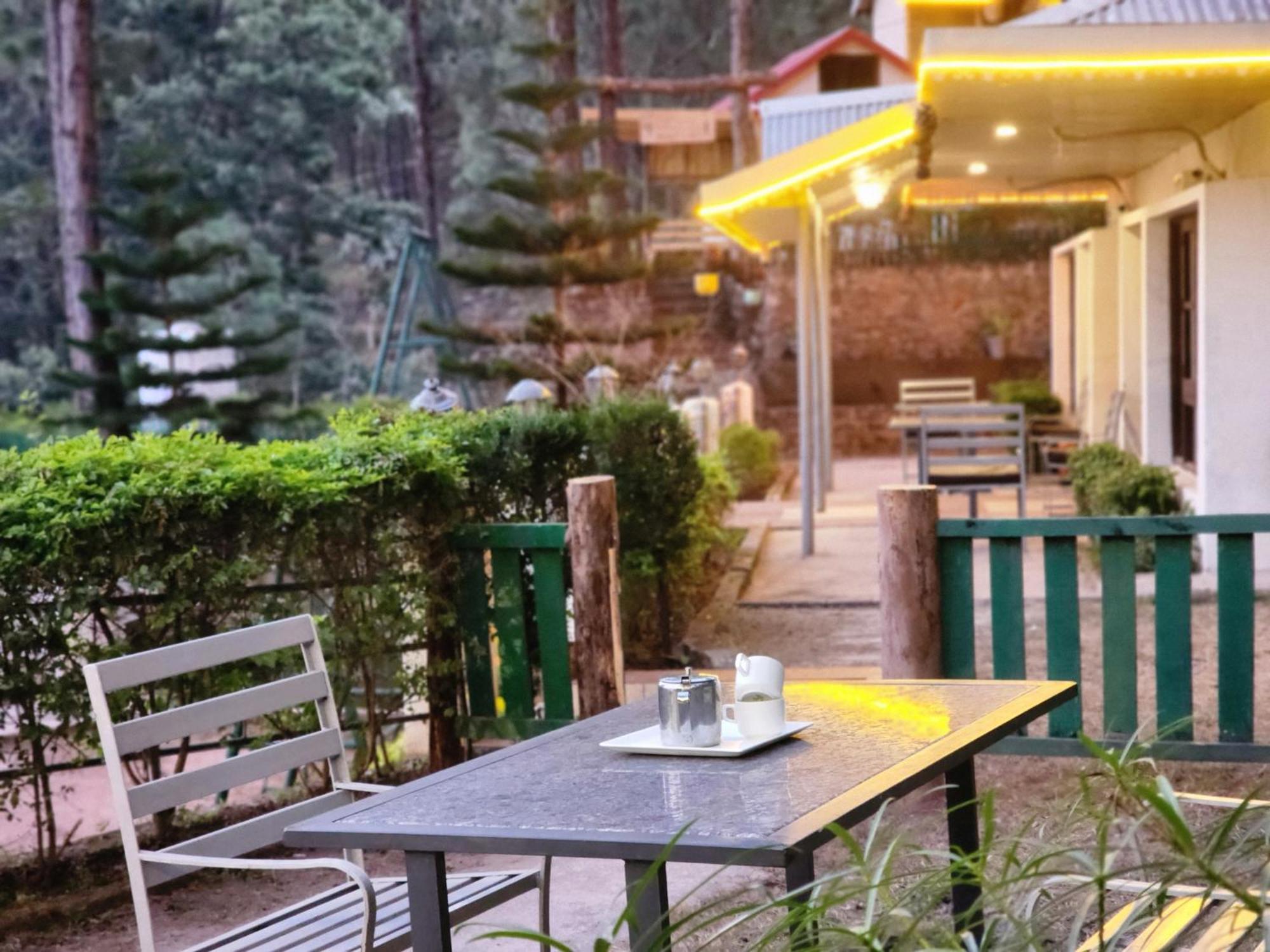 Pine Valley * Kasauli