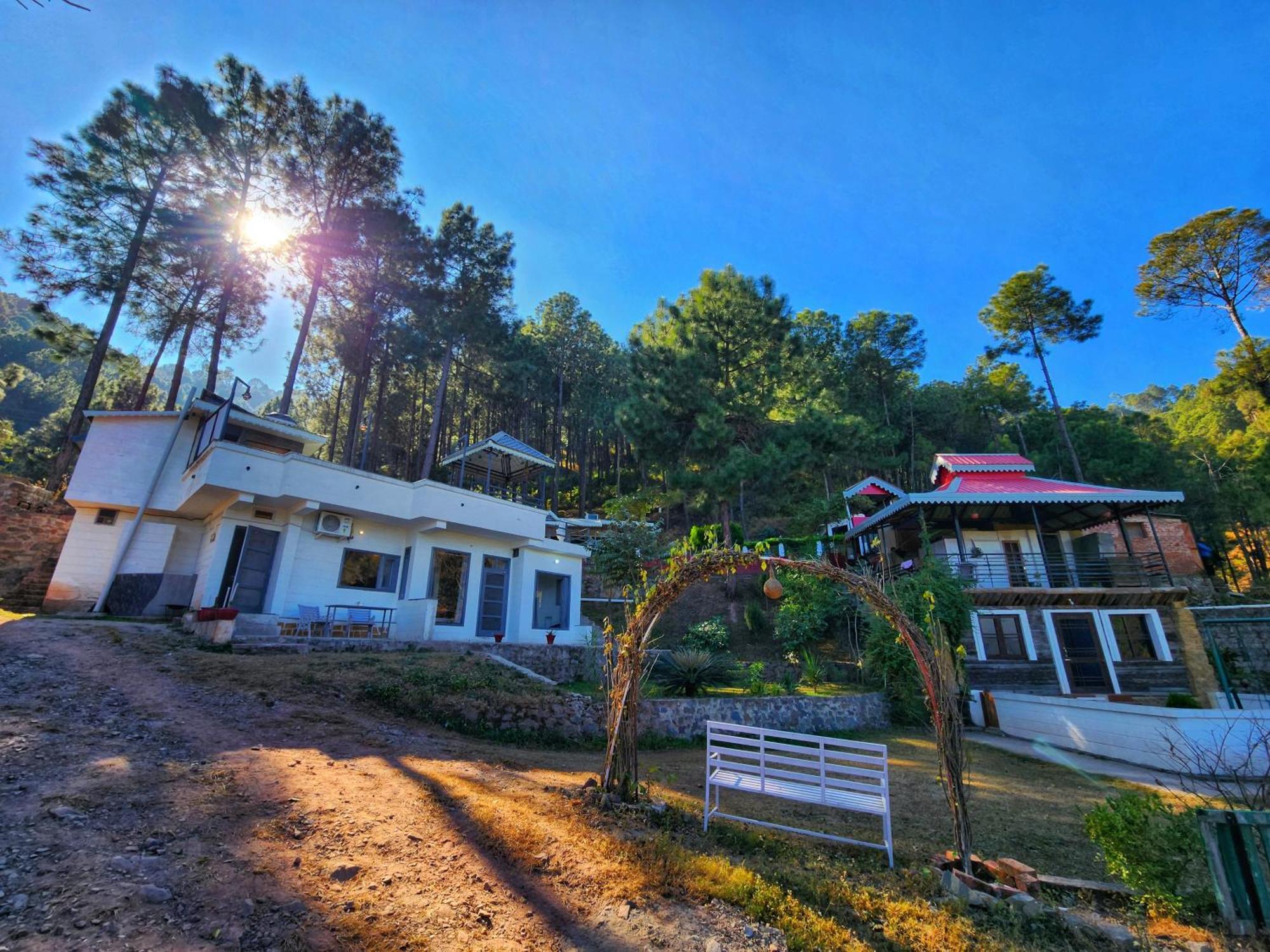 Campsite Pine Valley *