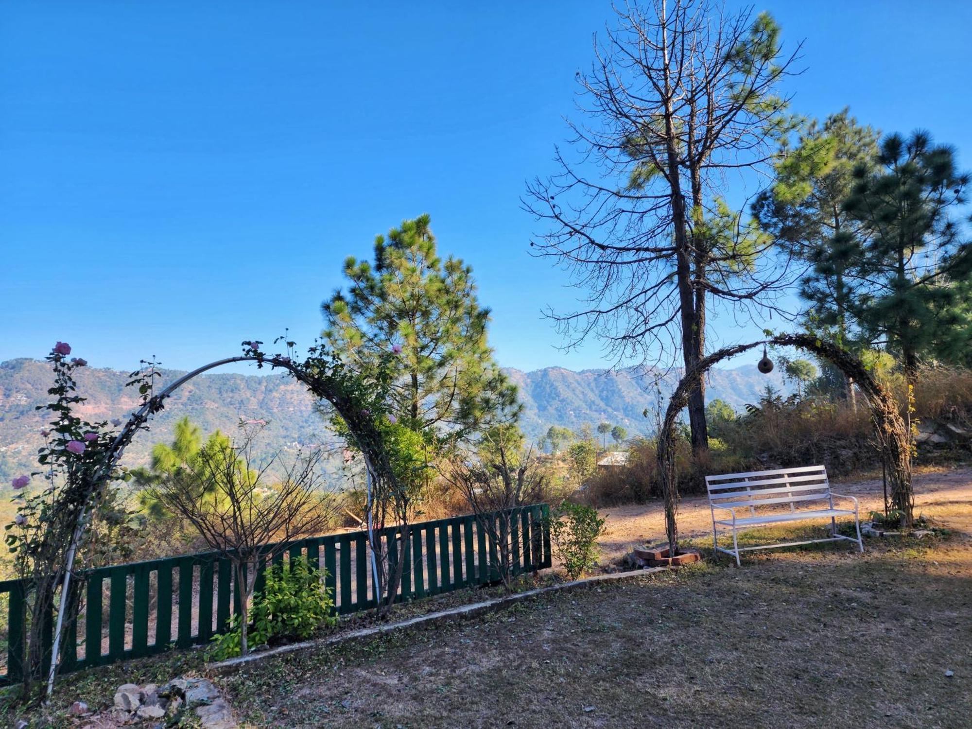 Pine Valley Campsite
