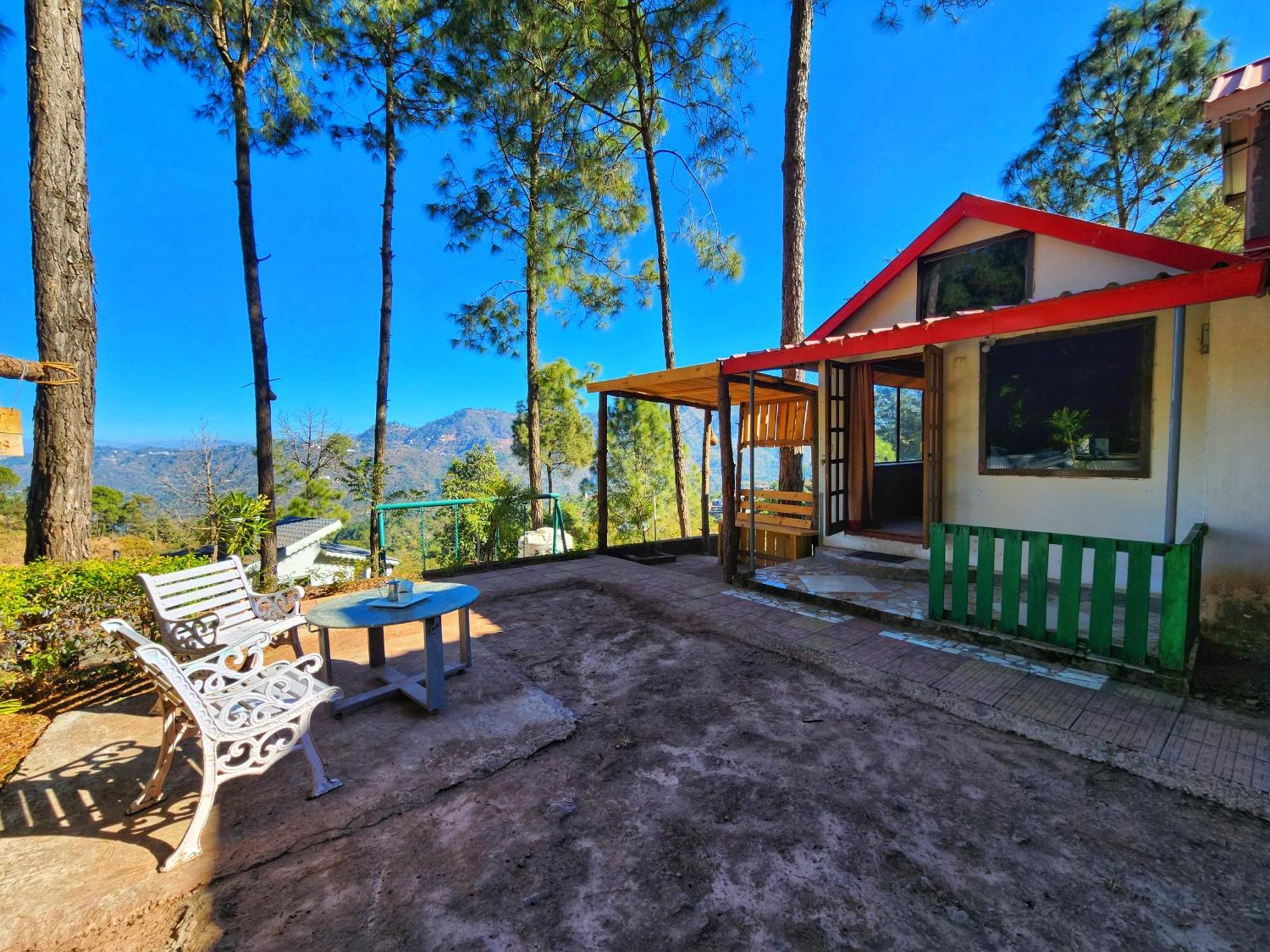 Pine Valley * Kasauli