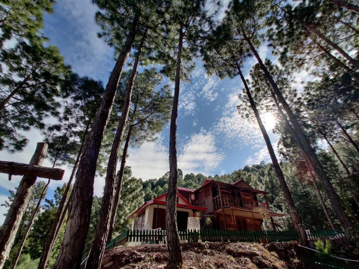 Campsite Pine Valley Kasauli